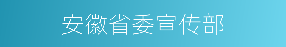 安徽省委宣传部的同义词