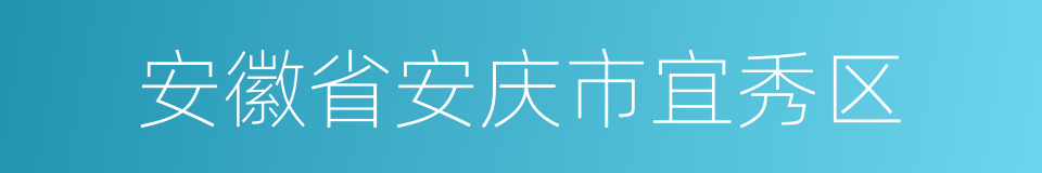 安徽省安庆市宜秀区的同义词