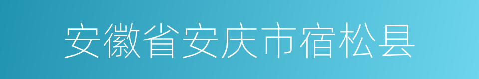 安徽省安庆市宿松县的同义词