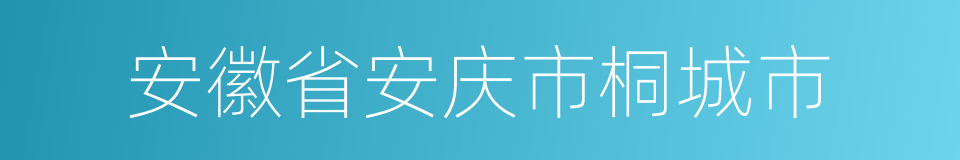 安徽省安庆市桐城市的同义词