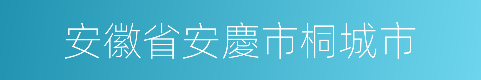 安徽省安慶市桐城市的同義詞