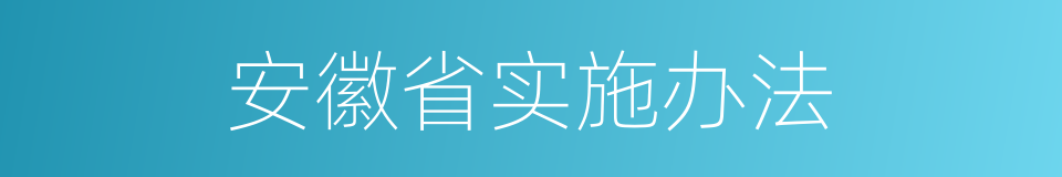 安徽省实施办法的同义词