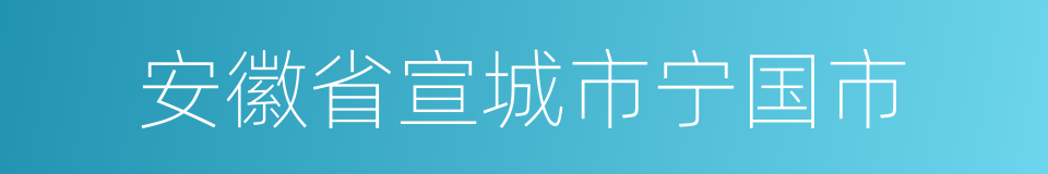 安徽省宣城市宁国市的同义词