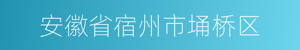 安徽省宿州市埇桥区的同义词