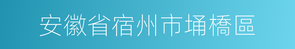 安徽省宿州市埇橋區的同義詞