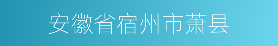 安徽省宿州市萧县的同义词