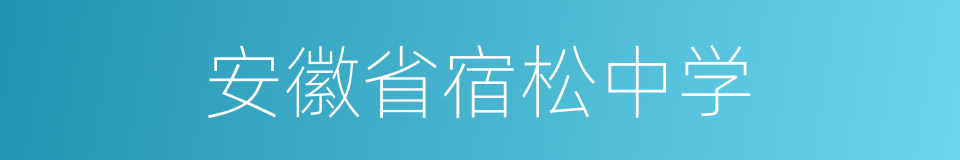 安徽省宿松中学的同义词