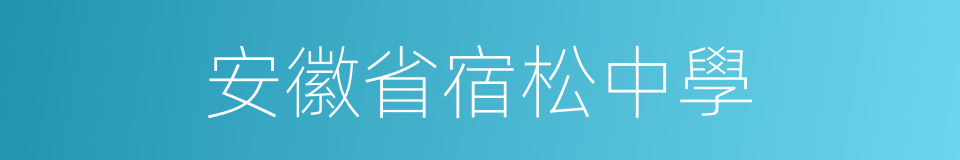 安徽省宿松中學的同義詞