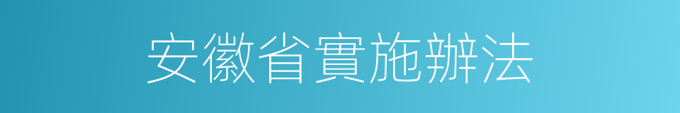 安徽省實施辦法的同義詞