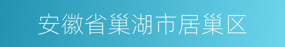 安徽省巢湖市居巢区的同义词