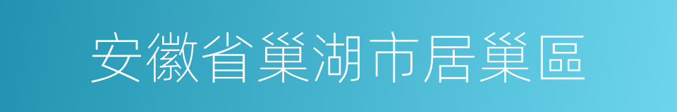 安徽省巢湖市居巢區的同義詞