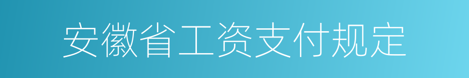 安徽省工资支付规定的同义词