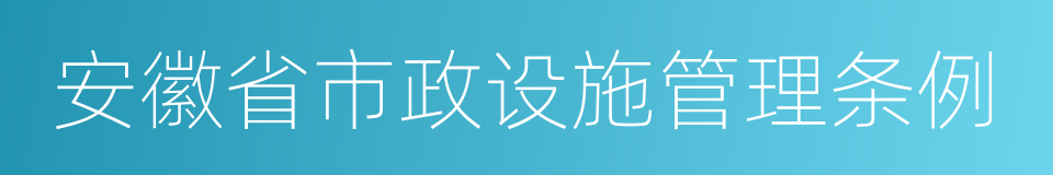 安徽省市政设施管理条例的同义词