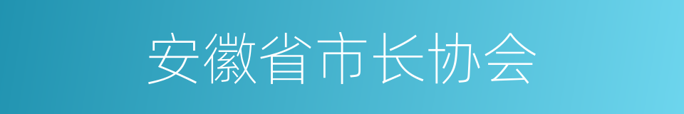 安徽省市长协会的同义词