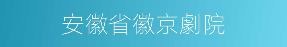 安徽省徽京劇院的同義詞