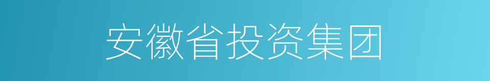 安徽省投资集团的同义词