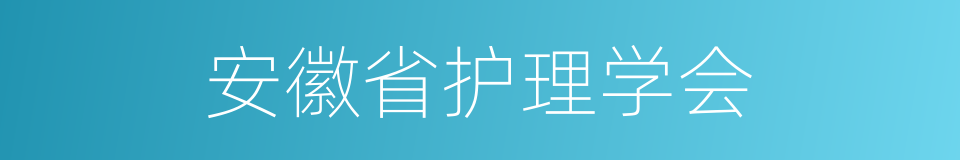 安徽省护理学会的同义词