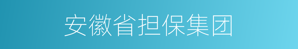 安徽省担保集团的同义词