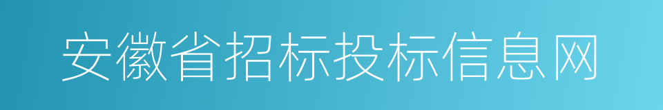 安徽省招标投标信息网的同义词