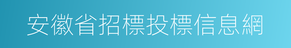 安徽省招標投標信息網的同義詞