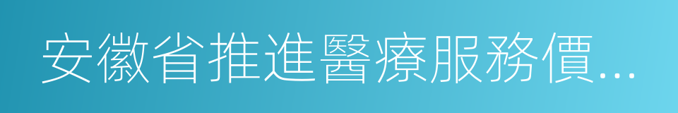 安徽省推進醫療服務價格改革實施方案的同義詞