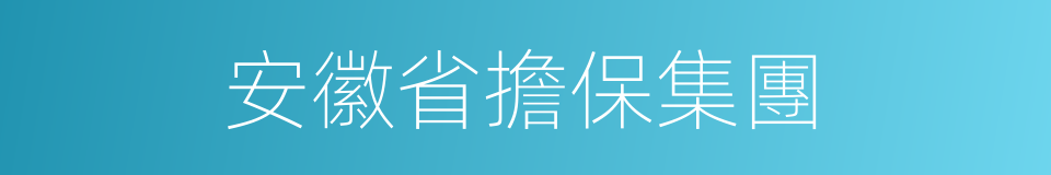 安徽省擔保集團的同義詞