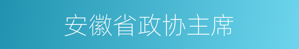 安徽省政协主席的同义词