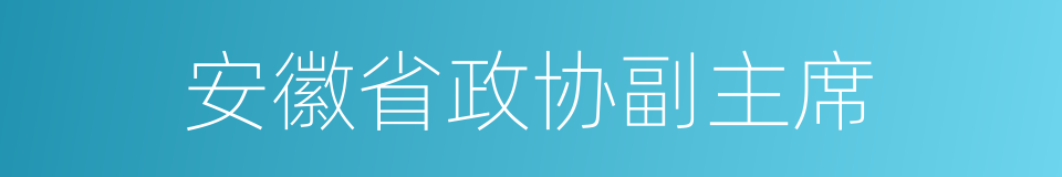 安徽省政协副主席的同义词