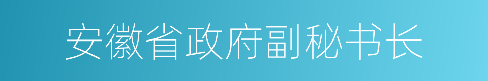 安徽省政府副秘书长的同义词