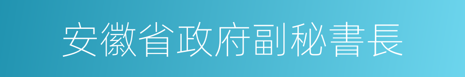 安徽省政府副秘書長的同義詞