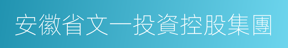 安徽省文一投資控股集團的同義詞