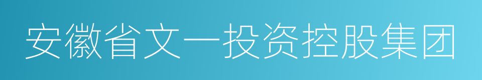 安徽省文一投资控股集团的同义词