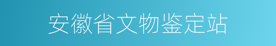 安徽省文物鉴定站的同义词