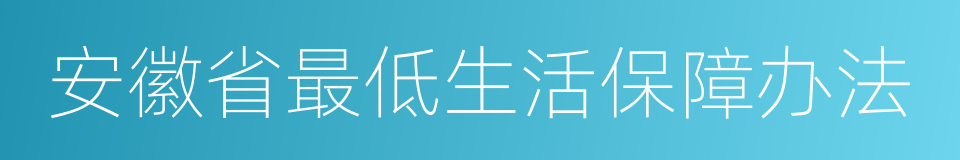 安徽省最低生活保障办法的同义词