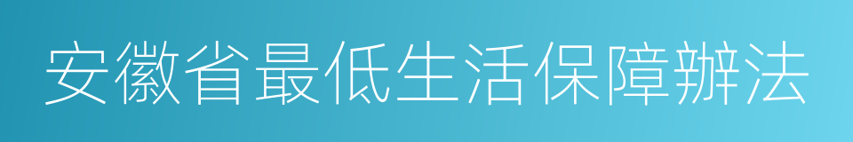 安徽省最低生活保障辦法的同義詞