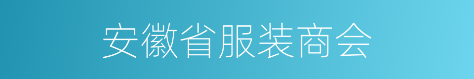 安徽省服装商会的同义词