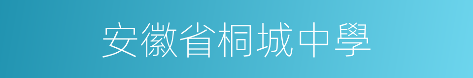 安徽省桐城中學的同義詞