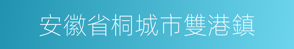 安徽省桐城市雙港鎮的同義詞