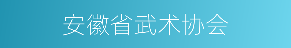 安徽省武术协会的同义词