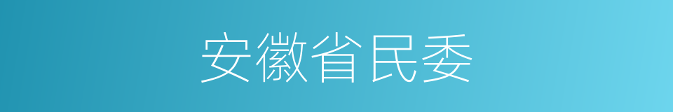 安徽省民委的同义词