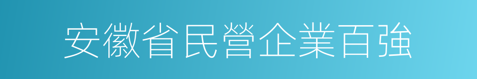 安徽省民營企業百強的同義詞