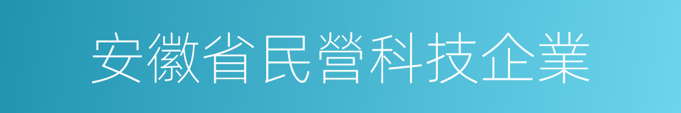 安徽省民營科技企業的同義詞