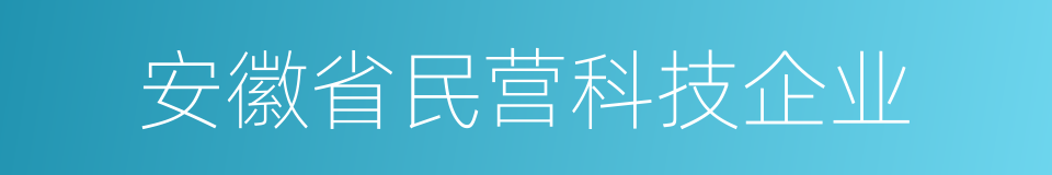 安徽省民营科技企业的同义词