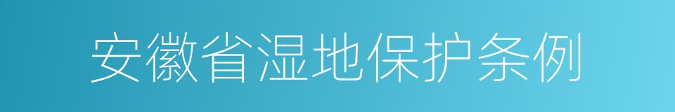 安徽省湿地保护条例的同义词