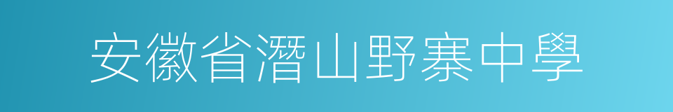 安徽省潛山野寨中學的同義詞