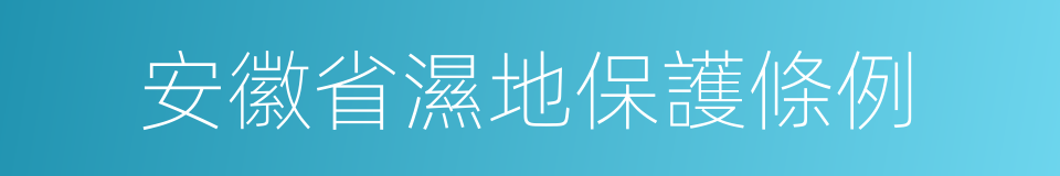 安徽省濕地保護條例的同義詞