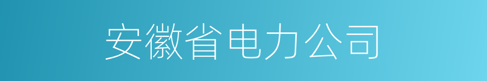 安徽省电力公司的同义词