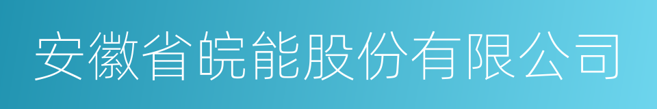 安徽省皖能股份有限公司的同义词