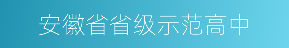 安徽省省级示范高中的同义词