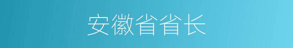 安徽省省长的同义词